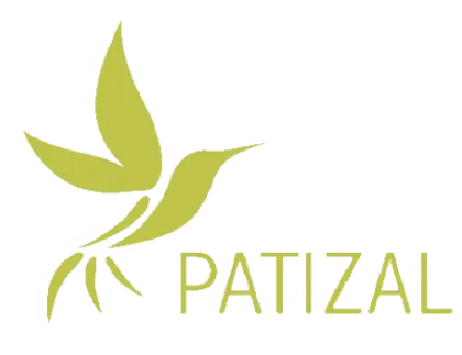 Patizal